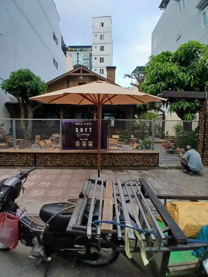 Top Mẫu Dù Thân Gỗ Đẹp, Chất Lượng Nhất 2025 - Giá Siêu Hấp Dẫn!