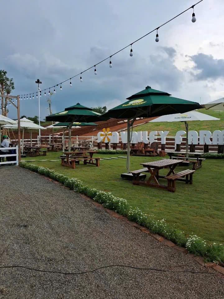 Dù Che Nắng Quán Cafe Uy Tín Tại Cà Mau 4 Dù Lệch Tâm Vuông Long Châu